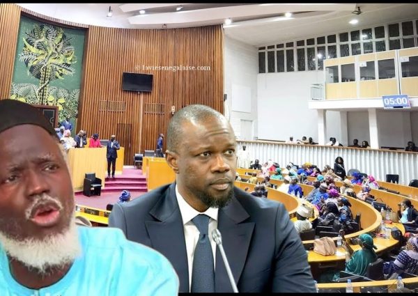 Quelle Assemblée nationale pour Oustaz Alioune Sall, et quel mode de vote des lois ?”