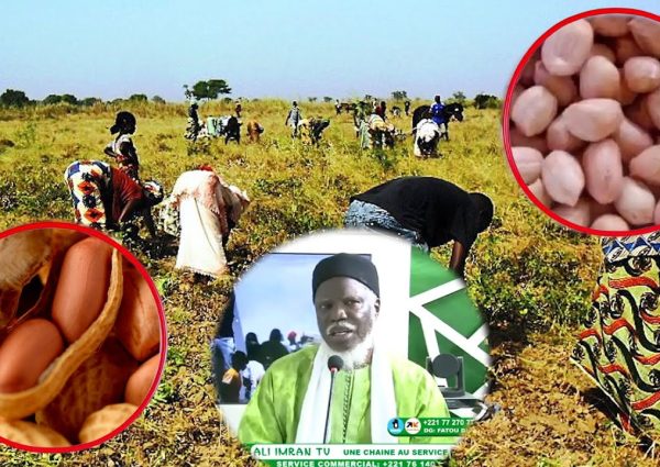 Face aux Défis de l’Agriculture : Oustaz Alioune Sall Appelle à une Transformation Agricole Inclusiv