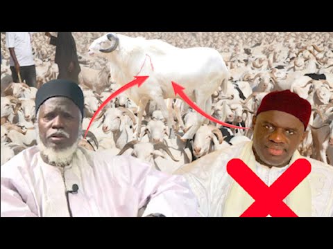 la réponse de oustaz Alioune sall sur Mouhamadou lamine sall